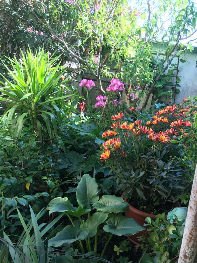 Violette Apartment บอร์โด ภายนอก รูปภาพ